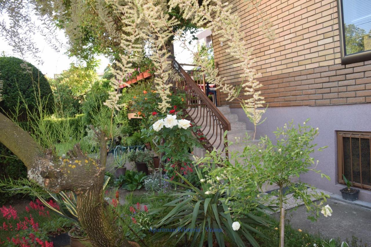 Apartman Wisteria Vranje Exteriör bild