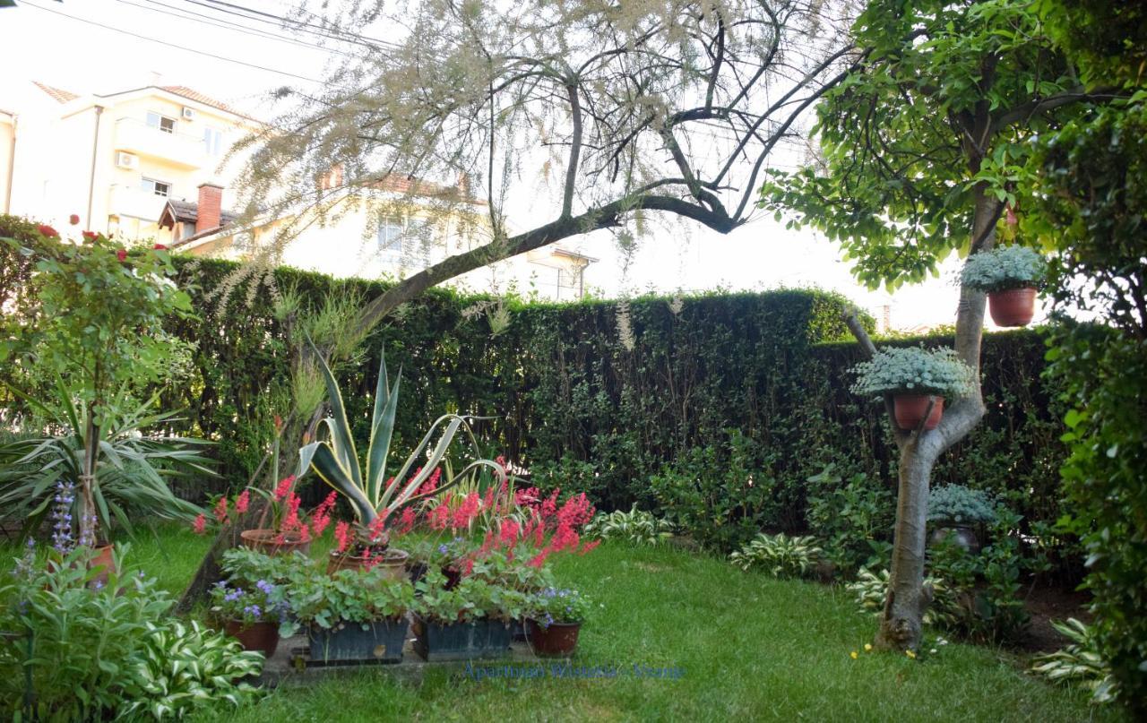Apartman Wisteria Vranje Exteriör bild