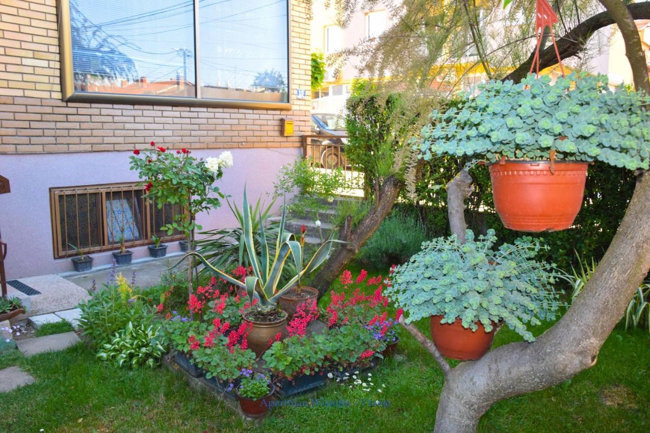 Apartman Wisteria Vranje Exteriör bild