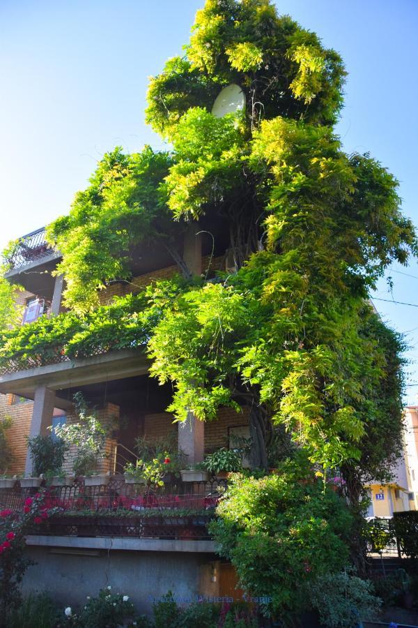 Apartman Wisteria Vranje Exteriör bild
