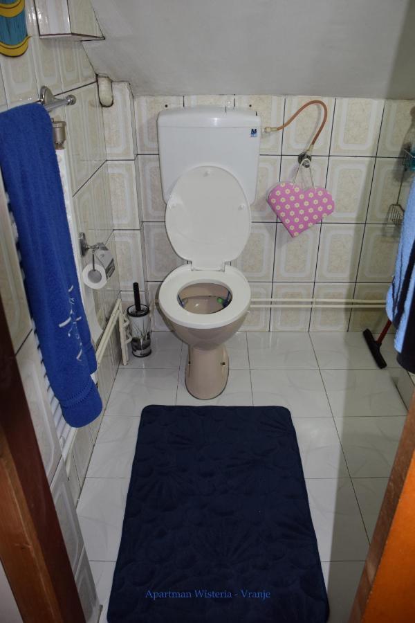 Apartman Wisteria Vranje Exteriör bild