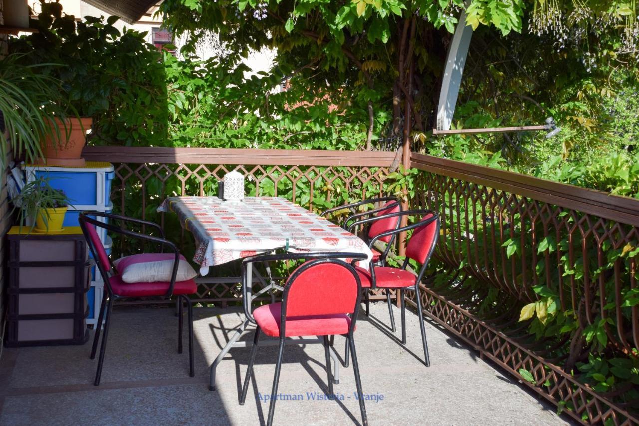 Apartman Wisteria Vranje Exteriör bild