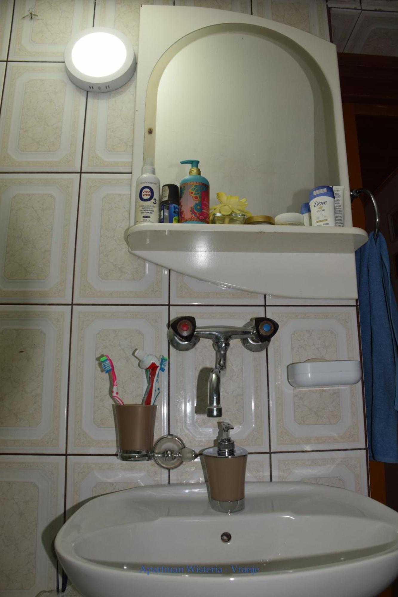 Apartman Wisteria Vranje Exteriör bild